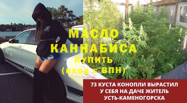 стаф Богородск