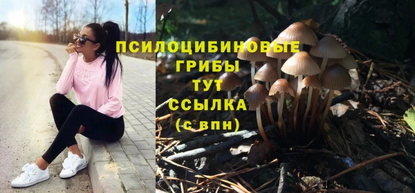 стаф Богородск