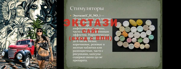 стаф Богородск