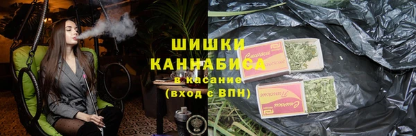 стаф Богородск