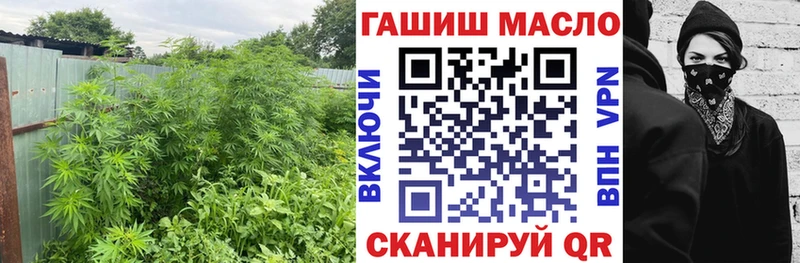 Дистиллят ТГК THC oil  Елизово 
