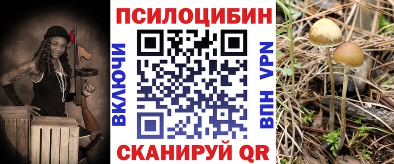 Галлюциногенные грибы мухоморы  Елизово 