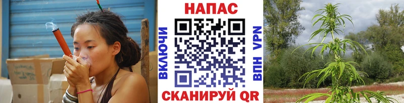 Конопля гибрид  наркота  Елизово 